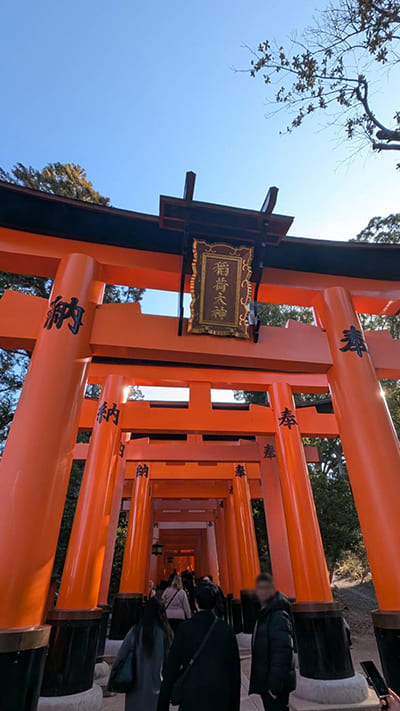 伏見稲荷大社の鳥居