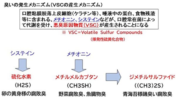 OralChromaは悪臭原因物質3種類を個別に測定できる